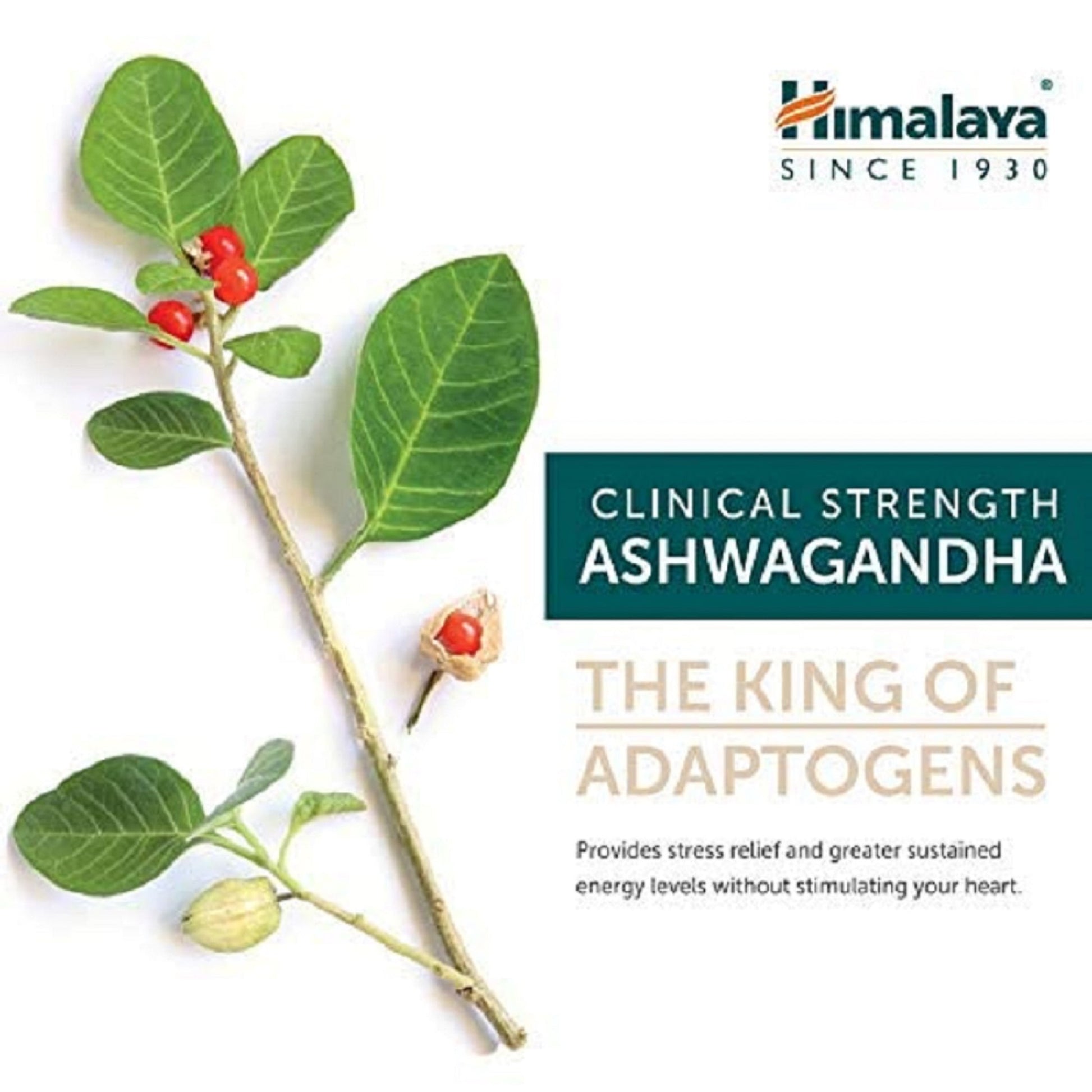 Herbals Ashwagandha 30 Caplet