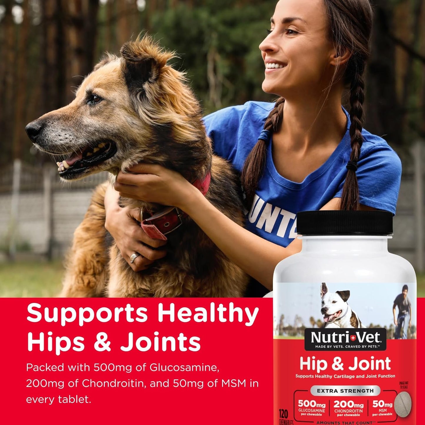 Hip & Joint Chewable Dog Supplements - Formulated with Glucosamine & Chondroitin for Dogs - 120 Count